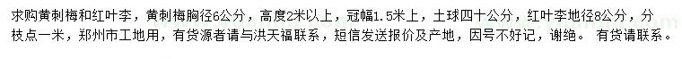 求購胸徑6公分黃刺梅、地徑8公分紅葉李