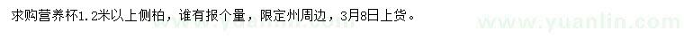 求購(gòu)1.2米以上側(cè)柏