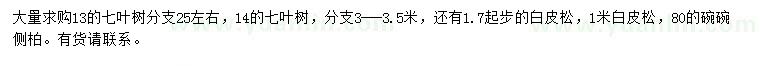 求購(gòu)七葉樹(shù)、白皮松、側(cè)柏