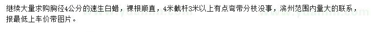 求購胸徑4公分速生白蠟