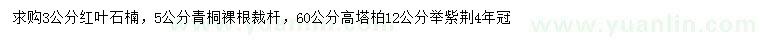 求購(gòu)紅葉石楠、青桐、高塔柏等