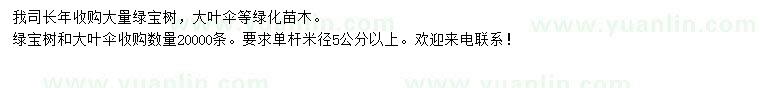 求購單桿米徑5公分以上綠寶樹、大葉傘