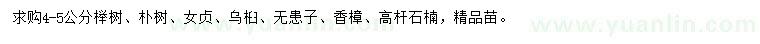 求購4-5公分櫸樹、樸樹、女貞等