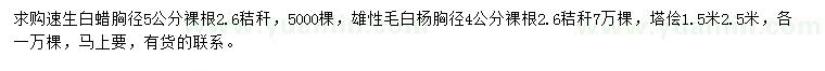 求購速生白蠟、雄性毛白楊、塔檜