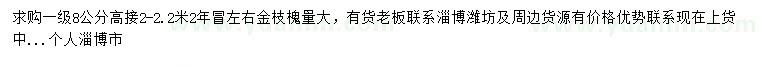 求購8公分金枝槐