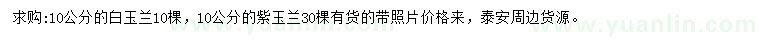 求購10公分白玉蘭、紫玉蘭