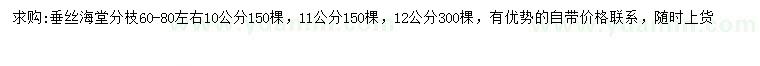 求購10、11、12公分垂絲海堂