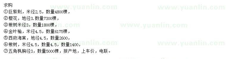 求購巨紫荊、櫻花、楸樹等