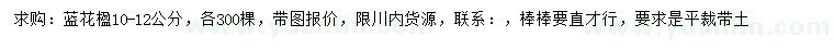 求購(gòu)10-12公分藍(lán)花楹
