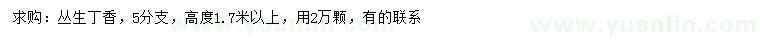 求購高度1.7米以上叢生丁香