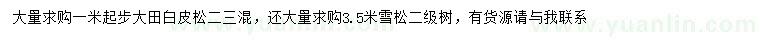 求購(gòu)1米以上白皮松、3.5米雪松