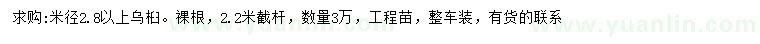 求購米徑2.8以上烏桕