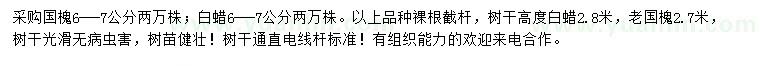 求購(gòu)6-7公分國(guó)槐、白蠟