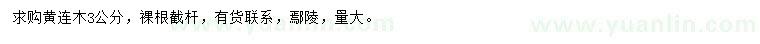 求購(gòu)3公分黃連木