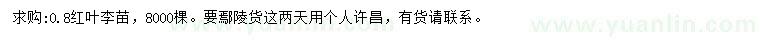 求購0.8公分紅葉李苗