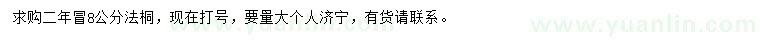 求購8公分法桐