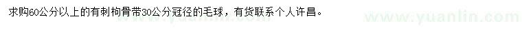 求購60公分以上刺枸