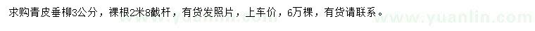 求購3公分青皮垂柳