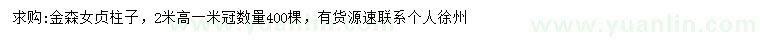 求購高2米金森女貞柱子