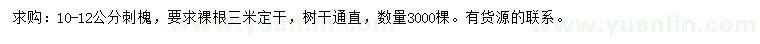 求購10-12公分刺槐