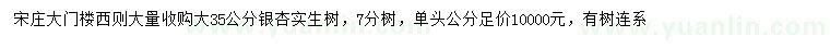 求購(gòu)35公分銀杏
