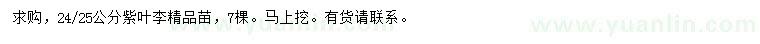 求購24、25公分紫葉李苗