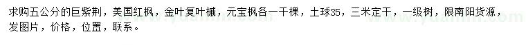 求購巨紫荊、美國紅楓、金葉復葉槭等