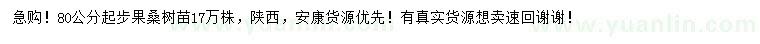 求購80公分以上桑樹苗