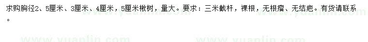 求購(gòu)胸徑2.5、3、4、5公分楸樹