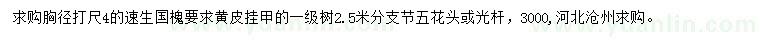 求購(gòu)胸徑4公分速生國(guó)槐