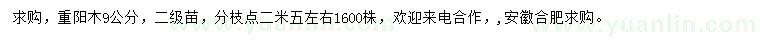 求購9公分重陽木