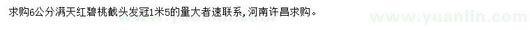 求購6公分滿天紅碧桃