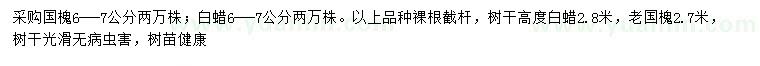 求購國槐、白蠟、老國槐