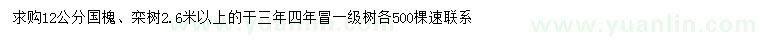 求購(gòu)12公分國(guó)槐、欒樹(shù)