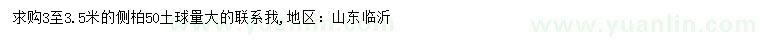 求購3至3.5米側(cè)柏