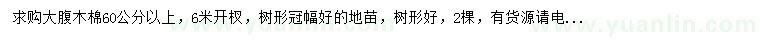 求購60公分以上大腹木棉