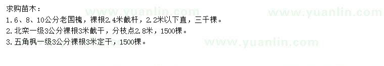 求購老國槐、北欒、五角楓