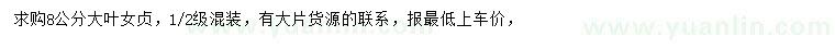 求購8公分大葉女貞