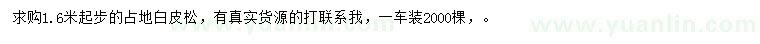 求購(gòu)1.6米起步白皮松