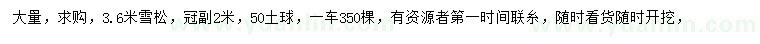 求購3.6米雪松