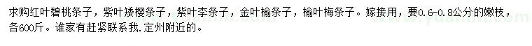 求購0.6-0.8公分紅葉碧桃條子、紫葉矮櫻條子、紫葉李條子等
