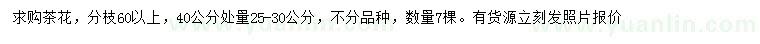 求購(gòu)40公分處量25-30公分茶花