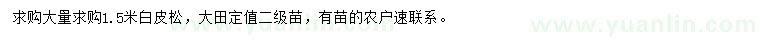 求購(gòu)1.5米白皮松
