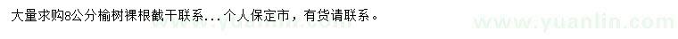 求購(gòu)8公分榆樹(shù)