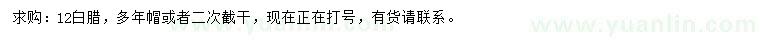 求購12公分白臘