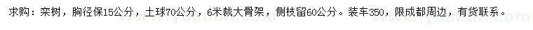 求購胸徑15公分欒樹