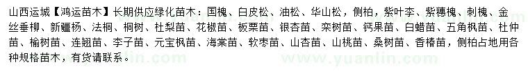 求購國槐、白皮松、油松等