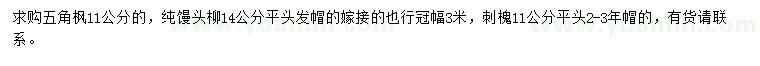 求購(gòu)五角楓、饅頭柳、刺槐