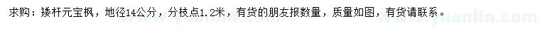 求購地徑14公分元寶楓
