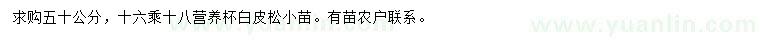 求購50公分白皮松苗